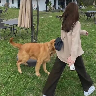 燃烧的青春